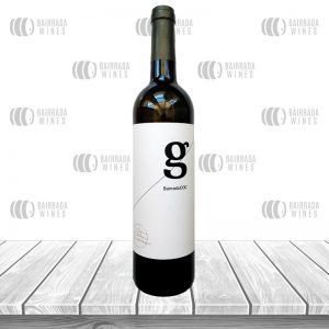 António Guerreiro Branco 2023