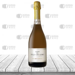 Quinta do Poço do Lobo Baga Bruto 2021